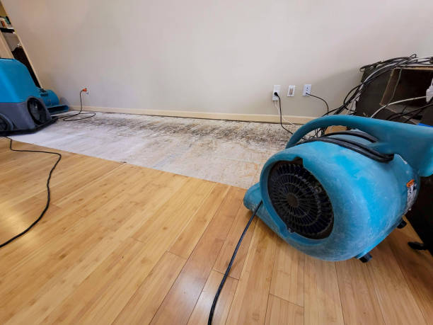 Professional Water Damage Repair technician working in Mantachie, MS